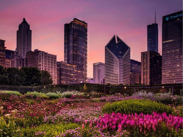 Lurie Garden - Things To Do in Chicago
