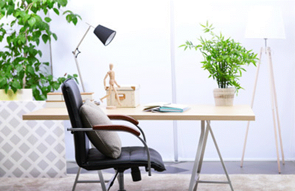 Small Plants for Home Office