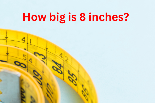 How big is 8 inches